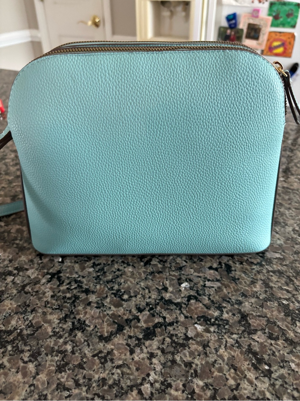 New w/tags Nanette Lepore Leather Purse/Handbag - Picture 2 of 6